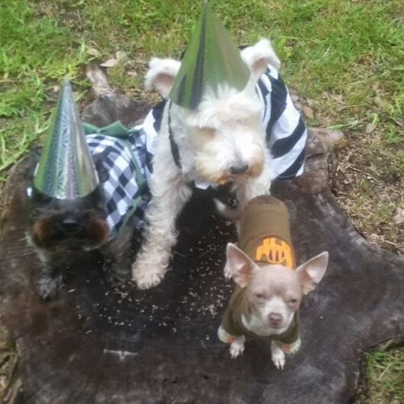 Meet your Posher, Vka - Picture 1 of 1